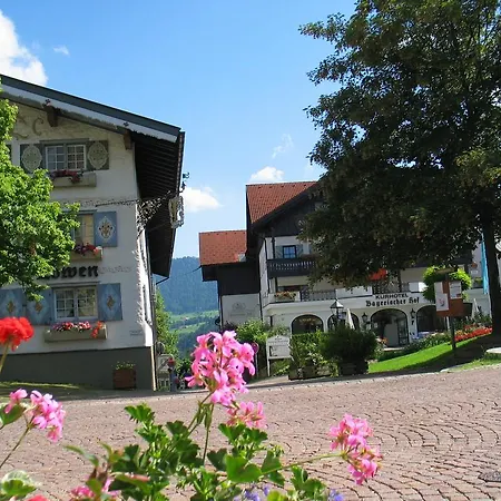 Отель Hotel Loewen 3*